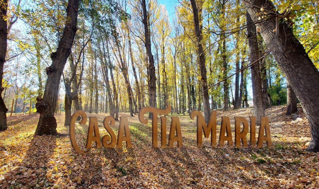 Casa Tia Maria Villa Navaluenga Exteriör bild